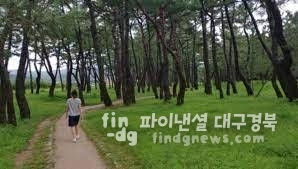흥해북천수 숲길ⓒ포항시