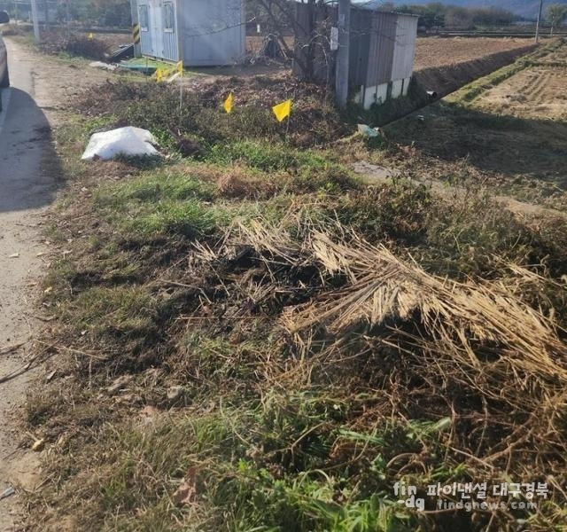 19상황실에 신고가 접수된 상주 화산동 논두렁의 경북도의원 방화현장 ⓒ 소방공무원노동조합 제공