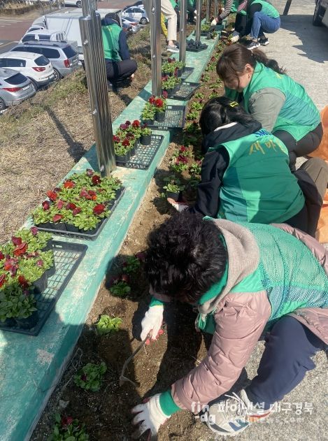대구 북구 검단동 새마을협의회·새마을부녀회 봄꽃 식재