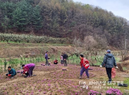 김천시 조마면, 주민과 함께 마을 화단 조성 나서