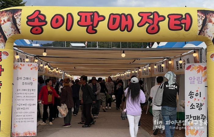 봉화송이축제, 화려한 불꽃으로 4일간의 대장정 마무리