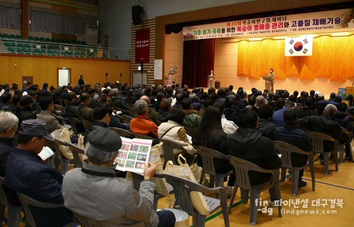 경북도, 복숭아 탄저병 방제는 이렇게 하세요!