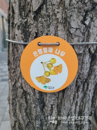 은행나무 관리를 위한 ‘열매 표찰’ 설치 모습