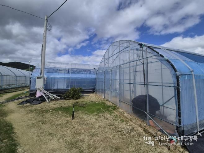 봉화군, 2026년 가업승계 우수농업인 정착지원사업 신청접수