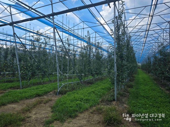 노지 스마트 기술 경북 확산 선도