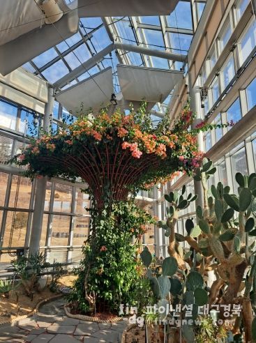 친환경생태공원, 형형색색 선인장 꽃 개화