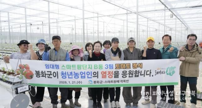 봉화군, 임대형 스마트팜 단지 토마토 정식 완료하며 본격운영
