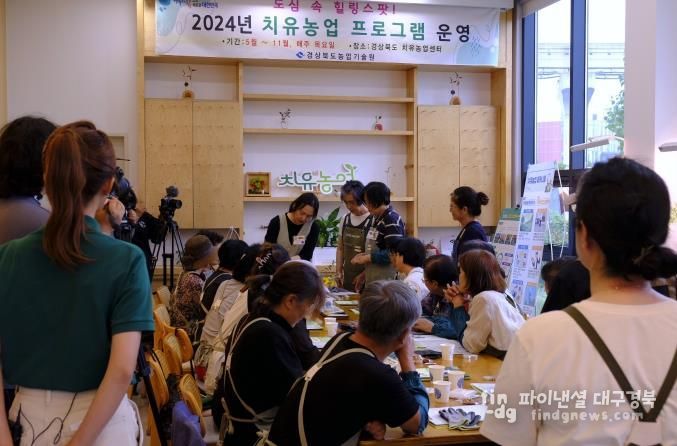 성주군 ‘이풀 치유농장’ 2026년 농촌돌봄서비스 활성화 지원사업 신규사업자 공모 선정