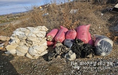 올해 흥해읍에서 배출한 영농폐기물 사진