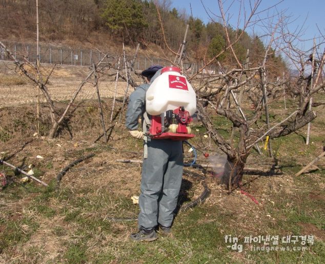 복숭아 병해충 선제 대응, 동계 방제