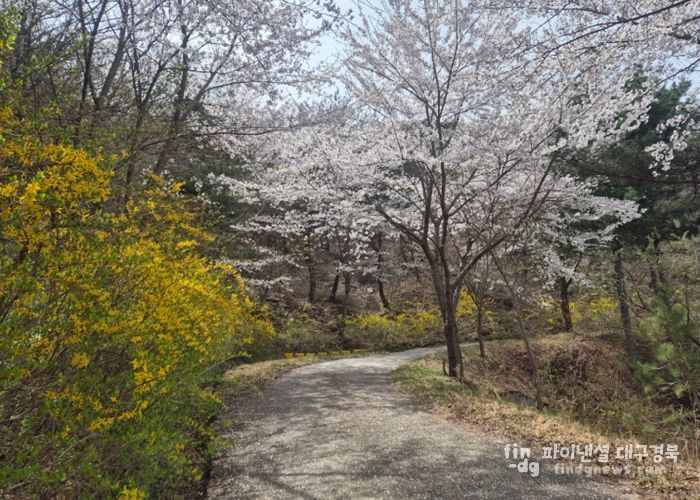 토함산자연휴양림, ‘꽃묘 나눔 행사’ 개최