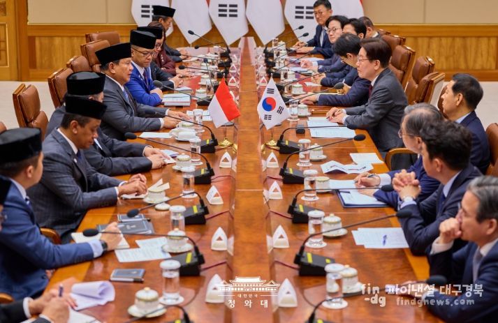 한·인도네시아 정상회담 확대회담(청와대)
