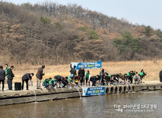 영덕군 지역 특산물인 황금 은어를 보존하기 위해 지난 3월 어린 개체를 방류하고 있다.