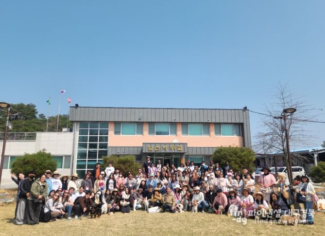 의성군, ‘자두꽃 필 무렵’ 성황